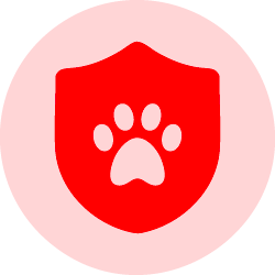 Cat secure icon 5