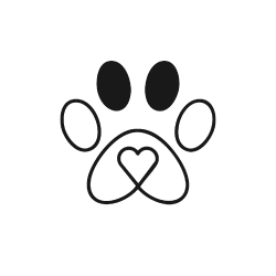 Cat snuggle icon 6