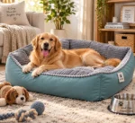Orthopaedic Dog Bed with Bolster