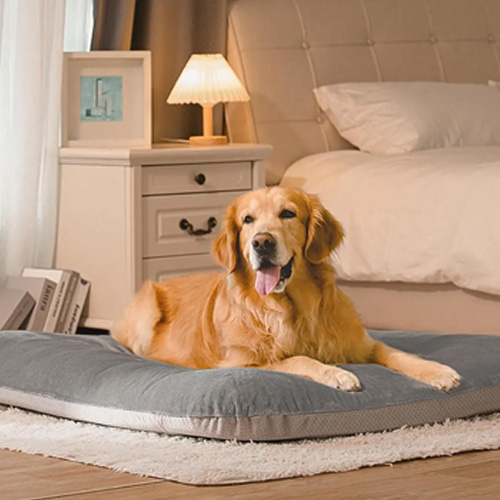 Orthopedic dog bed