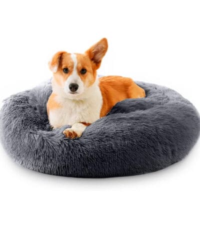 anti anxiety dog bed