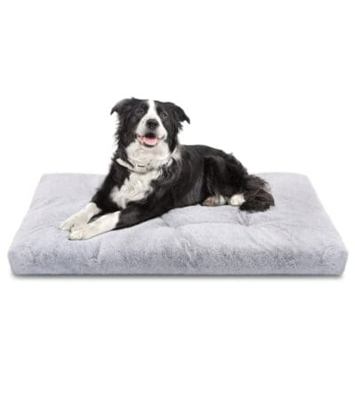 anti stress dog bed