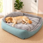 bolster dog bed orthopedic