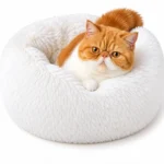 calming cat bed