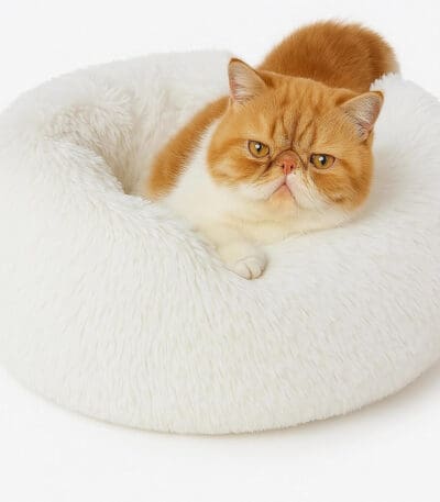 calming cat bed