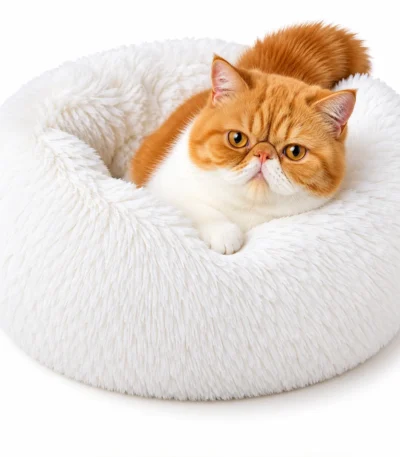 calming cat bed