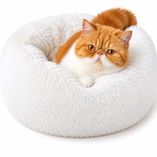calming cat bed
