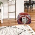 collapsible cat cave bed 4