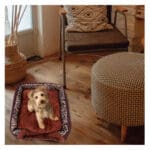 collapsible cat cave bed 5