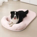 cooling dog bed 3