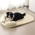 cooling dog bed 4