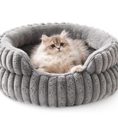 donut cat bed