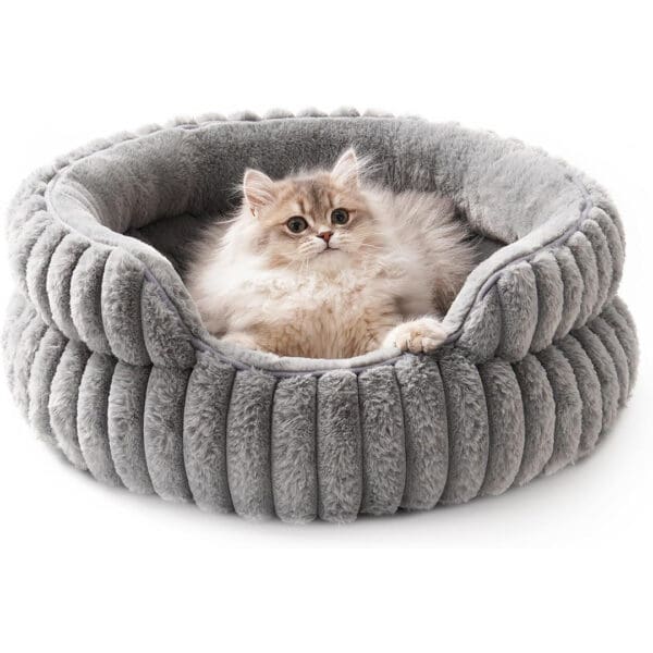 donut cat bed