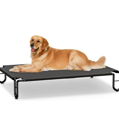 elevated cooling dog bed