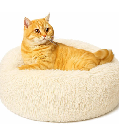 fluffy donut cat bed