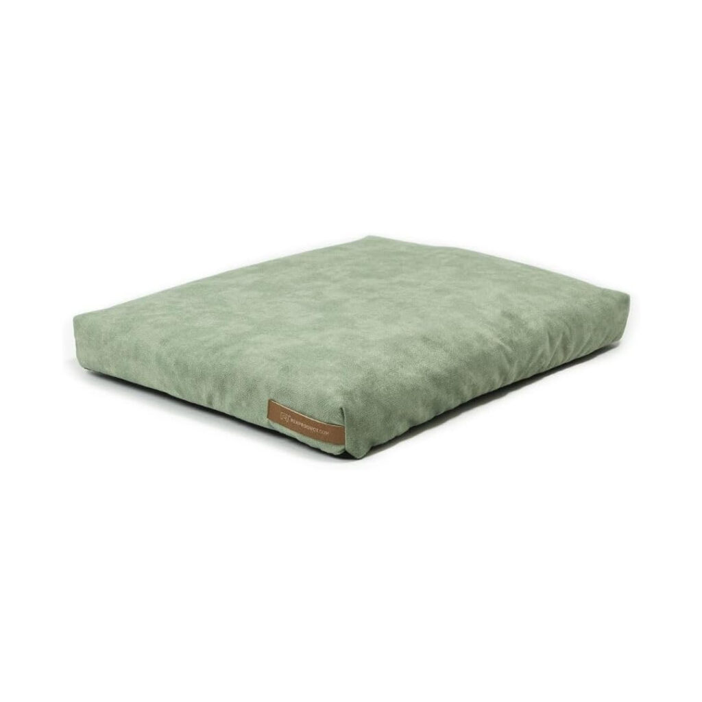 green dog bed