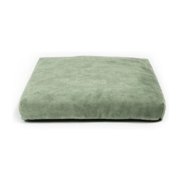 green dog bed 2
