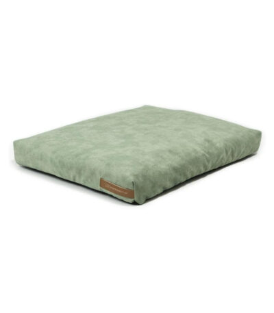 green dog bed