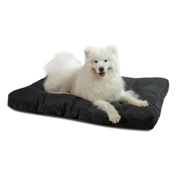 hemp dog bed black