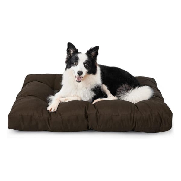 hemp dog bed brown