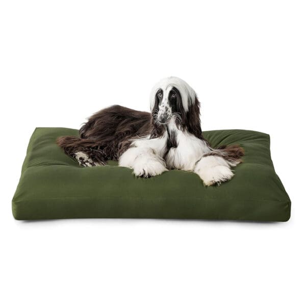 hemp dog bed green