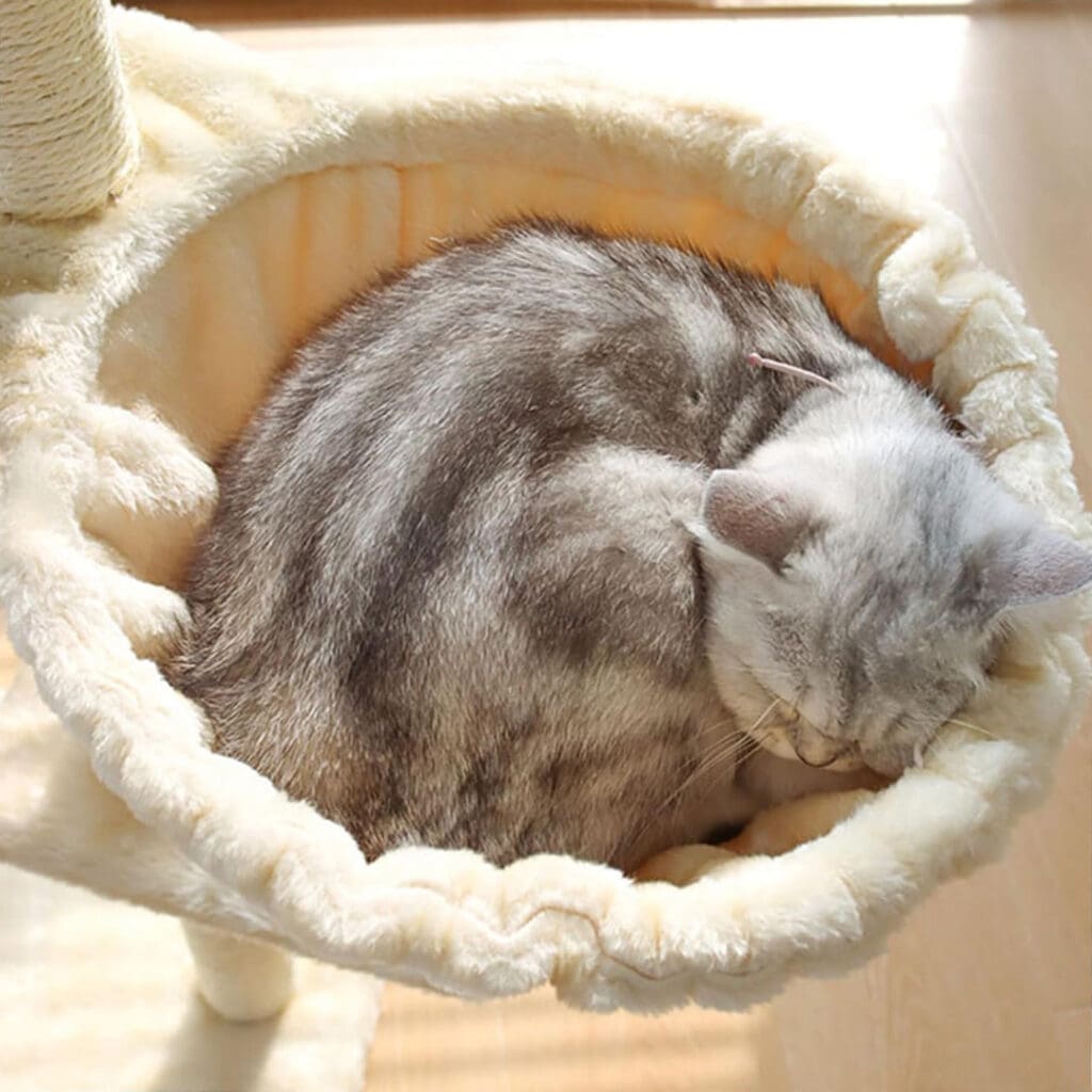 luxury cat hammock bed 4