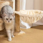 luxury cat hammock bed 5