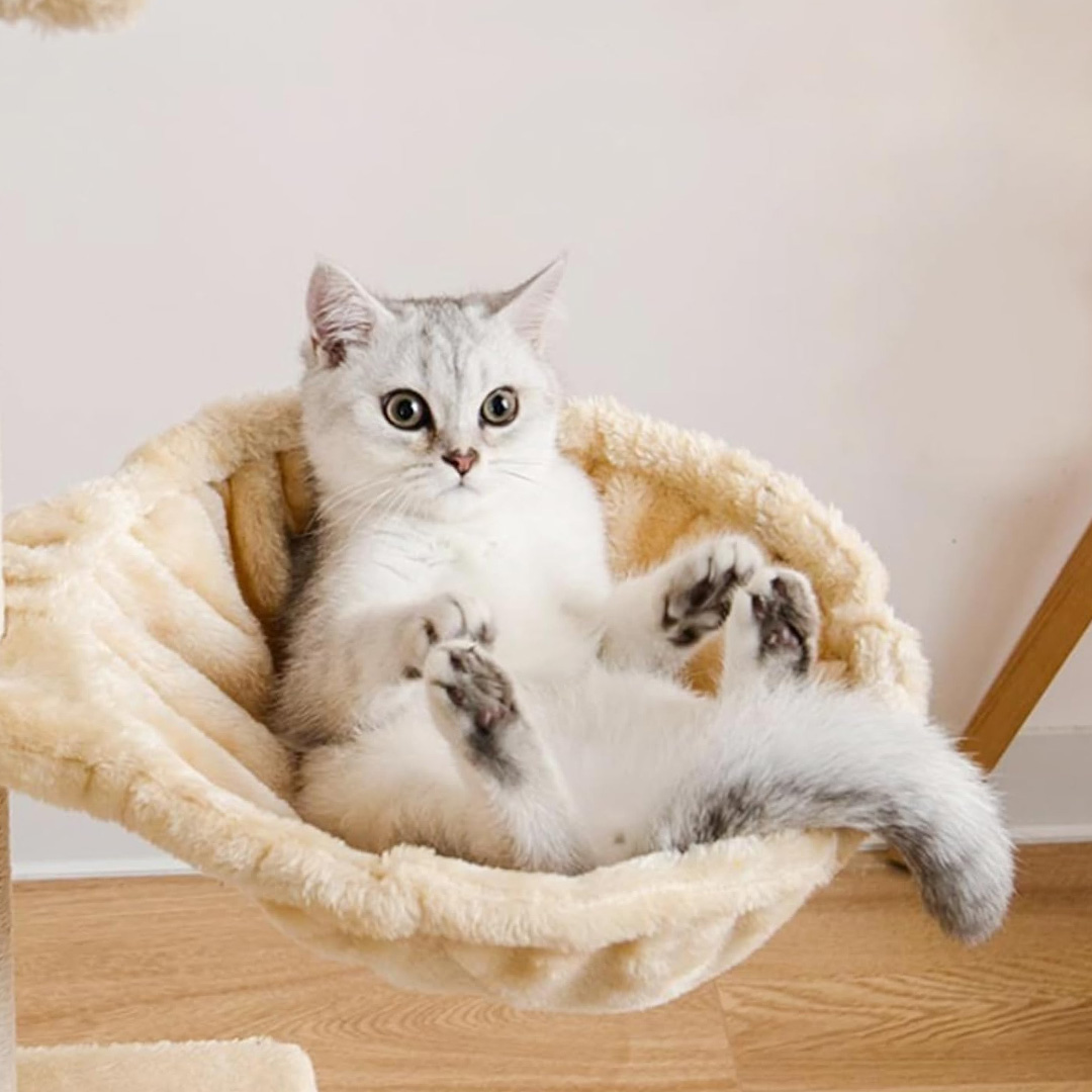 luxury cat hammock bed 7