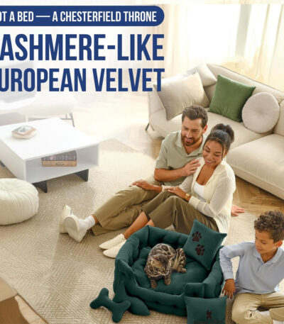 luxury cat sofa