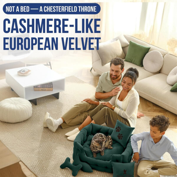 luxury cat sofa