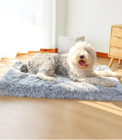 luxury memory foam dog bed