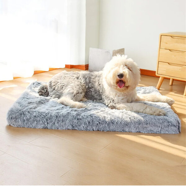 luxury memory foam dog bed