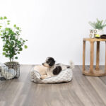luxury raised dog bed 3