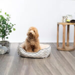 luxury raised dog bed 4