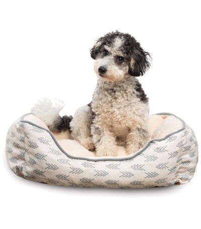 luxury raised dog bed