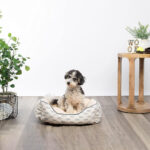 luxury raised dog bed 5