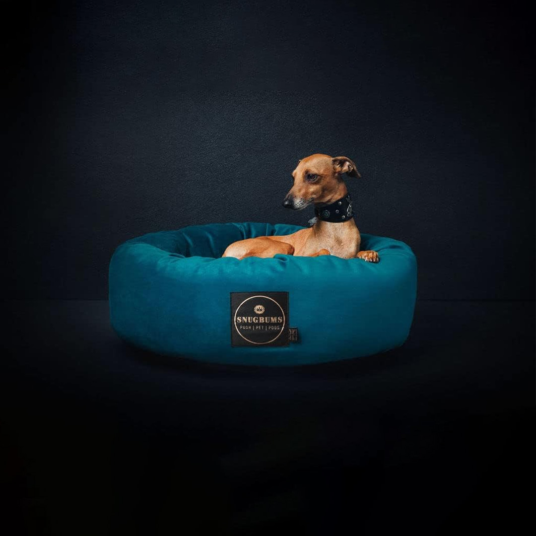 luxury velvet dog bed 2