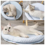 memory foam cat bed 1