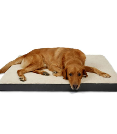 memory foam dog bed 1