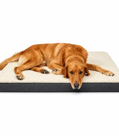 memory foam dog bed 1