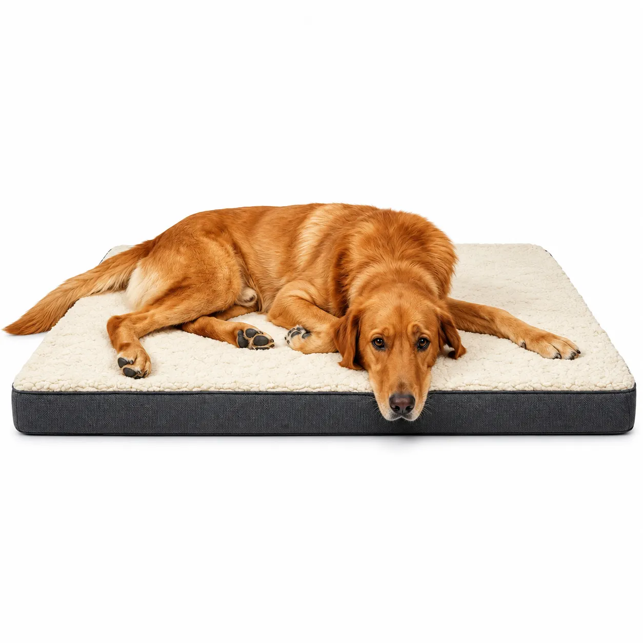 memory foam dog bed 1