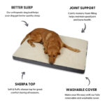memory foam dog bed 2