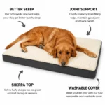 memory foam dog bed 2