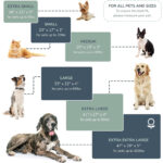 organic dog bed 5