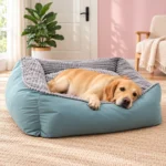 orthopedic bolster dog bed