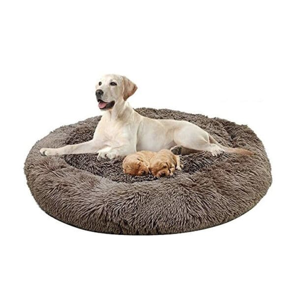 orthopedic calming dog bed brown