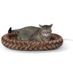 orthopedic cat bed for large cats