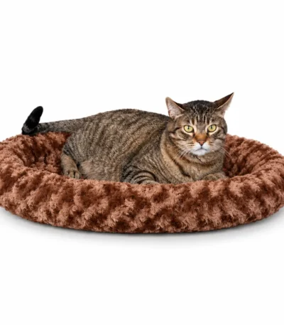 orthopedic cat bed for large cats