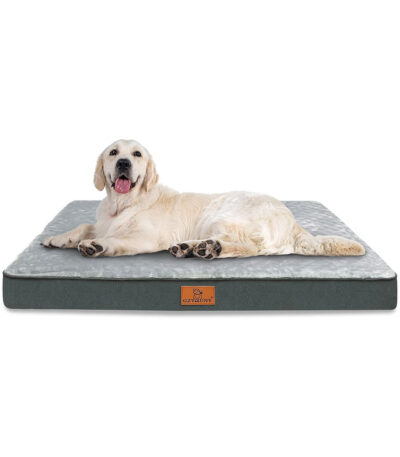 orthopedic dog bed for large dogs