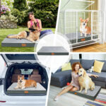 orthopedic dog bed for large dogs 6